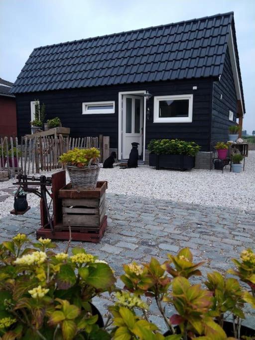 Wellness Chalet Met Jacuzzi, Sauna, Omheinde Tuin, Sint-Annaland Exterior foto