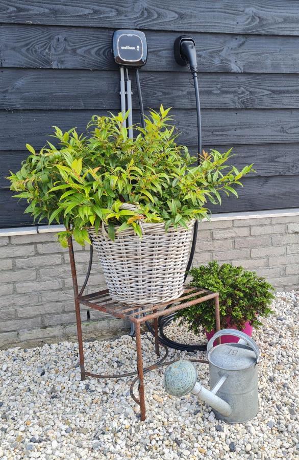 Wellness Chalet Met Jacuzzi, Sauna, Omheinde Tuin, Sint-Annaland Exterior foto